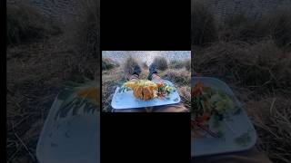 Adventure Cooking Chicken Katsu #Camping