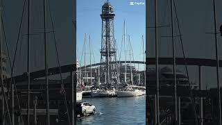 America's Cup Barcelona 2024 Kiwi