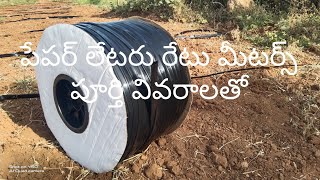 పేపర్ ల్యాటర్ పూర్తి వివరాలు