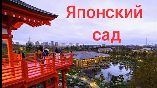 Японский сад 21.10.23