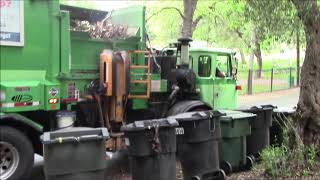 The Route Where Every House Has 3-5 Green Waste Cans