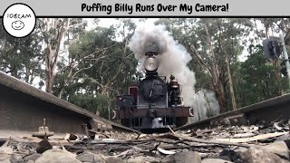 Puffing Billy Runs Over My Camera!