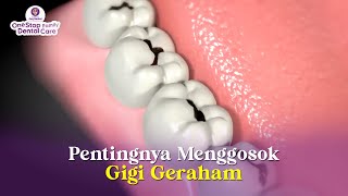 APAKAH PENTING MENGGOSOK GIGI GERAHAM ?