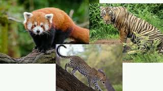 পশ্চিমবঙ্গের জাতীয় উদ্যান | West Bengal National Parks | Ojanar Sondhane Bangla Gk Channel