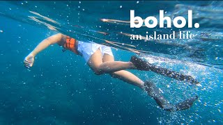 BOHOL VLOG 🐳 island, food, sea & sunsets  — a break from the corporate life ⛅️