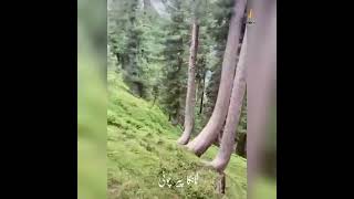 Rangla Azad Jammu Kashmir - رنگلہ آزاد جموں کشمیر