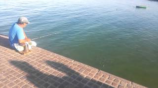 Fishing from pier corralejo - Fuerteventura 2015-05