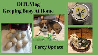 DITL Vlog ~Keeping Busy At Home~ Percy Update!