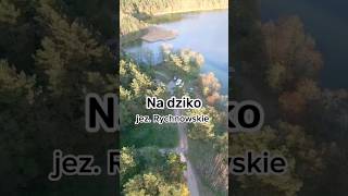 Jezioro Rychnowskie na dziko #rodzinnewycieczki #nadzikonajlepiej #djimavicmini3pro #short #shorts