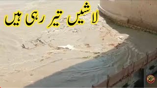 Flood 2022 | Dead Bodies Floating in River channab 😭