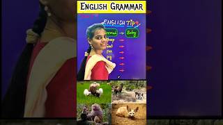 English is easy-9 #english #englishgrammar #youtube #shorts #trending #short #youtuber#youtubeshorts