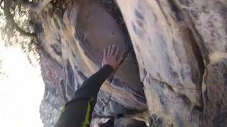 Frog land 5.8 - Pitch 1