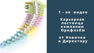 1 видео. Карьерная лестница компании Орифлэйм. От Новичка к Директору