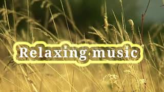 Relaxing Music With Angel Sounds  Music Cure Insomnia And Stop