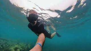 Snorkeling Low Isles, Port Douglas - 2024-05-25