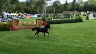 Naylors Sponsored Rider Ellen Whitaker & Arena UK Winston - Hickstead 2018 | Naylors Equestrian