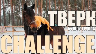 ТВЕРК-CHALLENGE || by ШОУ-ГРУППА |