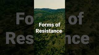 Forms of Slave Resistance