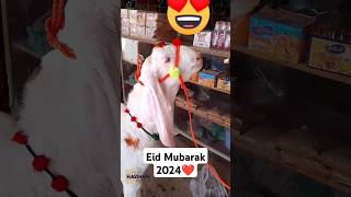 EiD UL Azha 2024 is coming soon ❤️#goat #shorts #viral #eiduladha2024