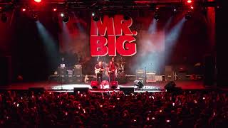 Mr. Big - Colorado bulldog (Buenos Aires 2024)