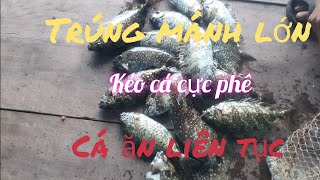 Câu cá trên bè tập 5 || Cá dò ăn liên tục, kéo cực phê || Trúng ổ cá dò trốn biển động.