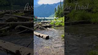 Should you #hike the Avalanche Lake trail in #glaciernationalpark? Yes! (➡️3-dot menu for +info)