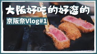 【京阪奈#1】買大阪周遊券只去大阪城！？梅田LUCUA、炸牛元村、心齋橋SHAKE SHACK