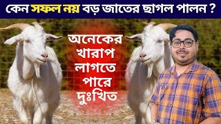 🙏এই ভিডিওটি দেখে অনেকের খারাপ লাগতে পারে এর জন্য দুঃখিত।কেন সফল নয় বড় জাতের ছাগল পালন পশ্চিমবঙ্গে।