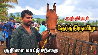 ⚡️மிகப்பெரிய அந்தியூர் சந்தை🔥😱தூக்கு தேர்,குதிரை,மாட்டு சந்தை | Anthiyur market 2024