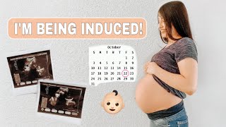 OUR BIRTH PLAN + 37 WEEKS GROWTH SCAN | BABY WATCH