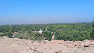 Lush Greenery From Top Of A Famous Fort Mao Mubarak | Qila Mao Mubarak