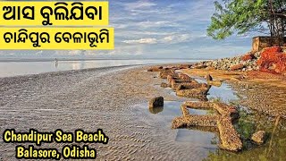 ରହସ୍ୟମୟ ଚାନ୍ଦିପୁର ବେଳାଭୂମି | Chandipur sea beach | why Chandipur beach is so special?