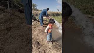 Rural Area Farmer Daily Routine Work #shorts #Shorts