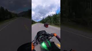 Chasing him from Waterton Park to Banff #motorcycle