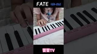 (G)I-DLE《Fate 》口風琴演奏 #kpop