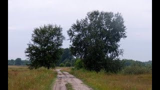 Biciklis parabola a Balatonra 1. nap - Otthoni tájakon... (2017. június 26.)