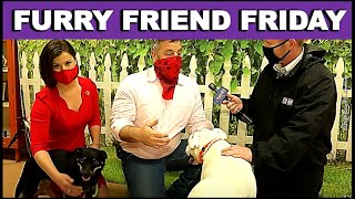 Pet of the Week on Furry Friend Friday Special Guests