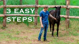 How To Approach And Get Up To A Horse! (Hard To Catch Horses)