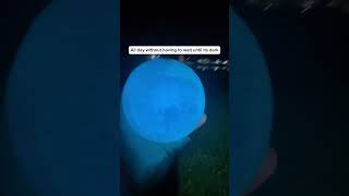 This is why you need a Moon Lamp #ledlights #moon #viral #fyp #foryou