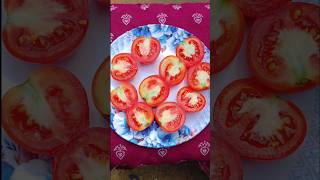 tomato chutney recipe || viral tomato chutney #shorts #food