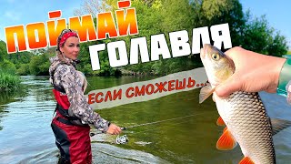 Поймай голавля! Если сможешь...