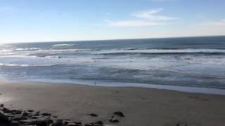 SF VIDEO-POSTCARD No. 68: OCEAN BEACH ON MID NOVEMBER, 2015.