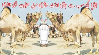 Mela Mela Inayat Shah Bukhari Jahan Duniya Ki Sab Say Bari Camel Mandi Lagti Hay