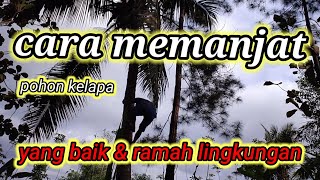 tutorial memanjat pohon kelapa || epek degan