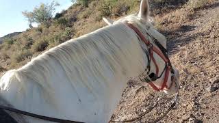 Trail riding AZ 2020