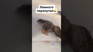 Ребята го подписочку а то стрим не смогу показать 😂🤣💪👍 заранее благодарен за поддержку и подписку