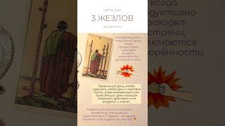 🔥 КАРТА ДНЯ 29 АВГУСТА #таро #картытаро #tarot #tarotube #shorts