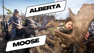 Northern Alberta Moose Hunt - 2 Draw Tags Filled