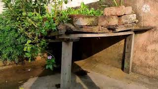 बागवानी GARDENING ON TERRACE छत पर