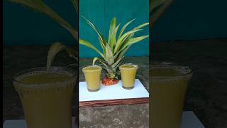 how to make pineapple ginger juice 🍍#shorts #youtubeshorts #viral